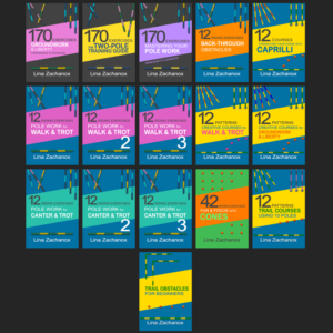 The Super Bundle: All 16 Printable Ebooks 700 Exercises & Courses
