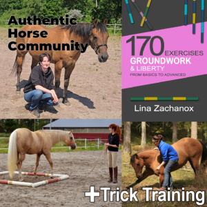 Horse Communication Bundle